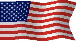 usa.gif